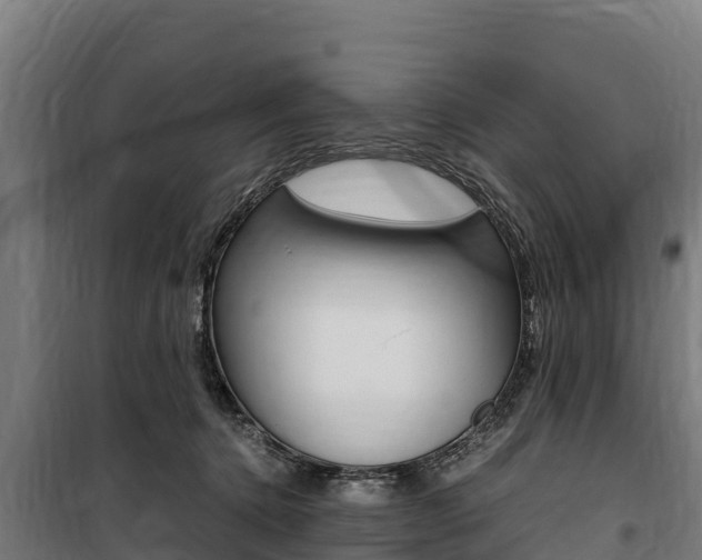 X0000100850368200806200808
