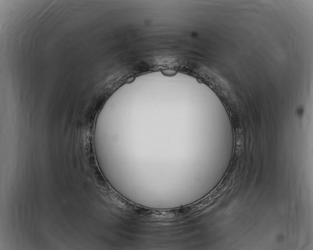 X0000100850369200806200808