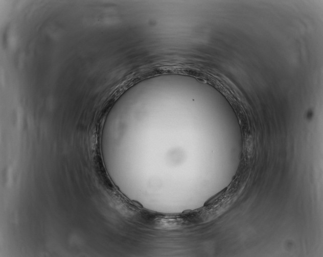 X0000100850372200806200808