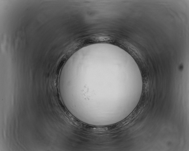 X0000100850373200806200808