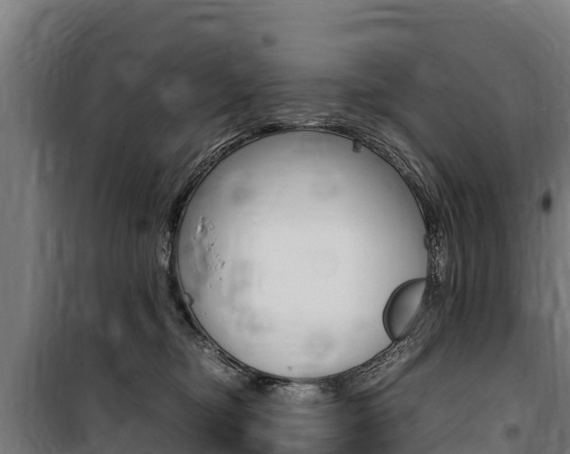 X0000100850374200806200808