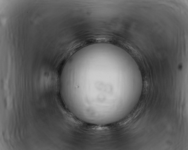 X0000100850379200806200808