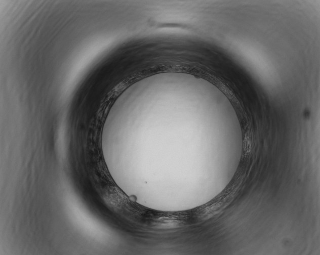 X0000100850381200806200808