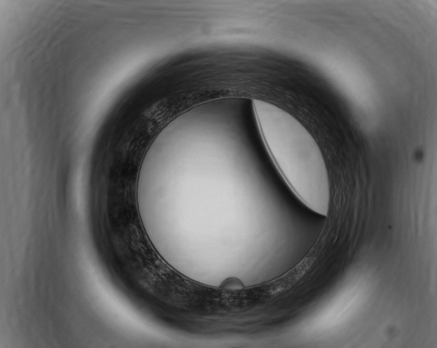 X0000100850383200806200808