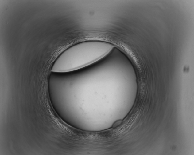 X0000100850385200806200807