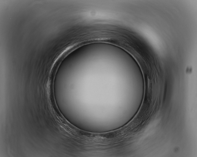X0000100850387200806200807