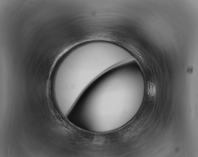 X0000100850388200806200807