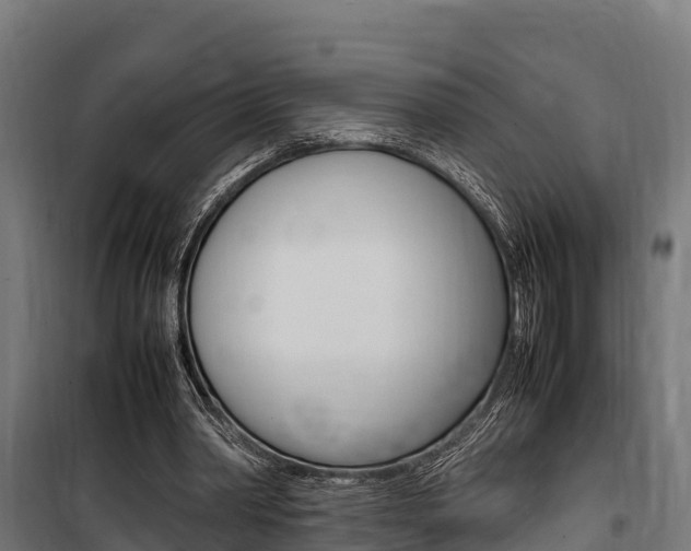 X0000100850390200806200807