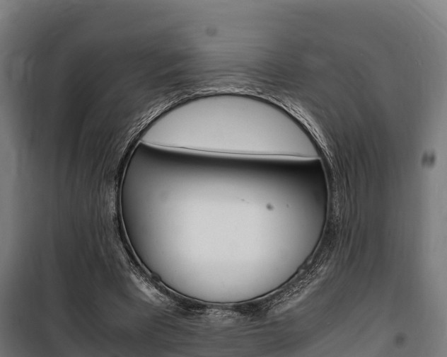 X0000100850393200806200807