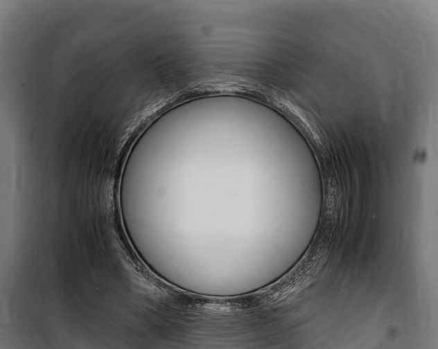 X0000100850394200806200807