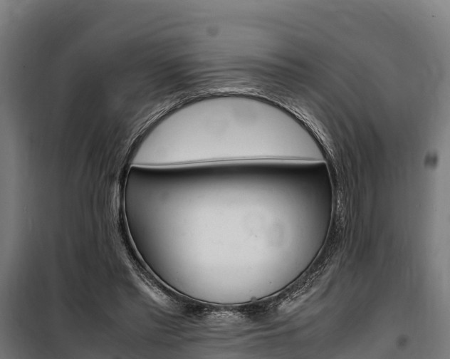 X0000100850397200806200807