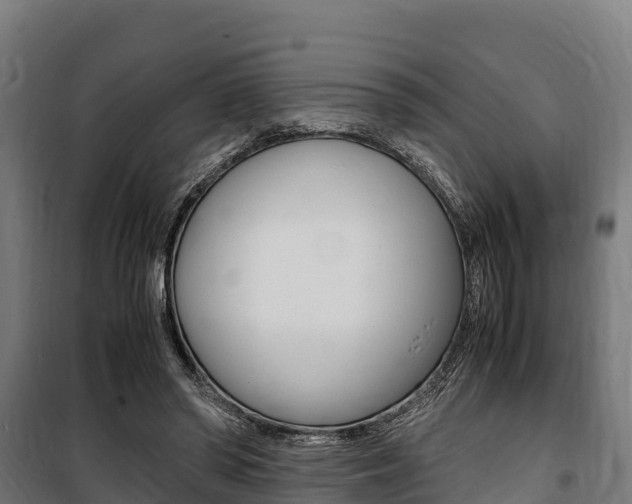 X0000100850398200806200807