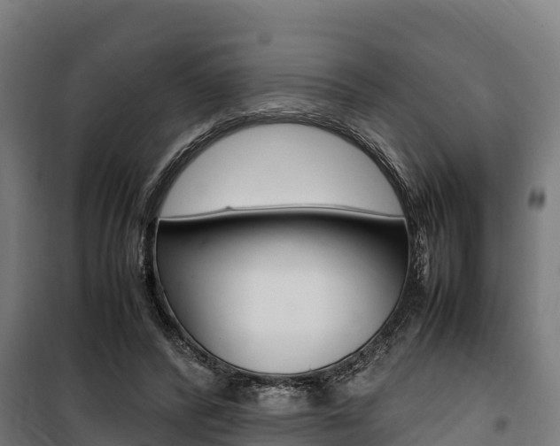 X0000100850400200806200807