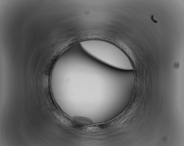 X0000100850401200806200807