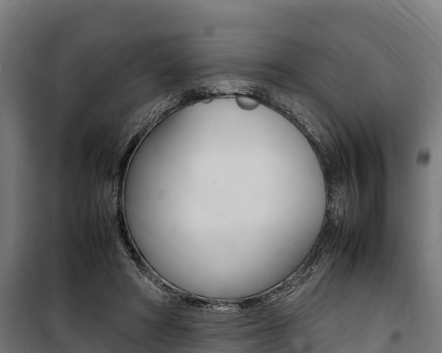 X0000100850402200806200807