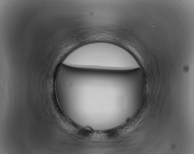 X0000100850403200806200807