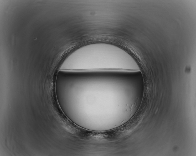 X0000100850407200806200807