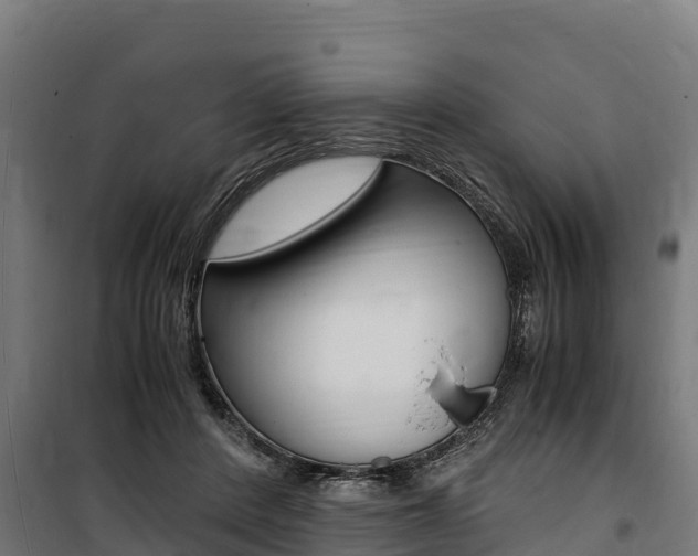 X0000100850408200806200807