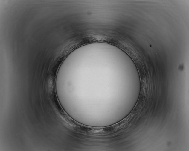 X0000100850410200806200807