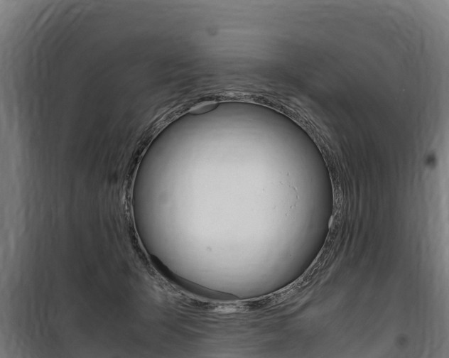 X0000100850415200806200807
