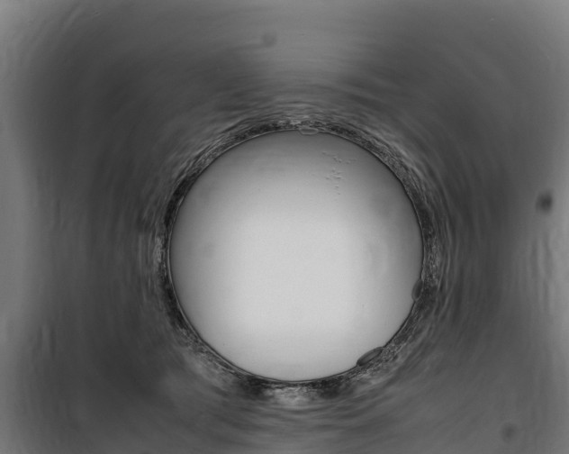 X0000100850417200806200806