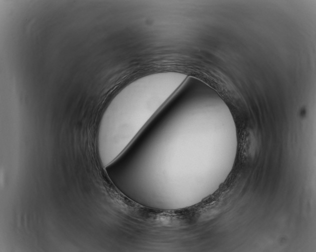 X0000100850420200806200806