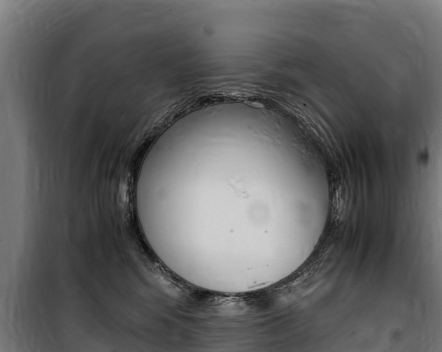 X0000100850424200806200806