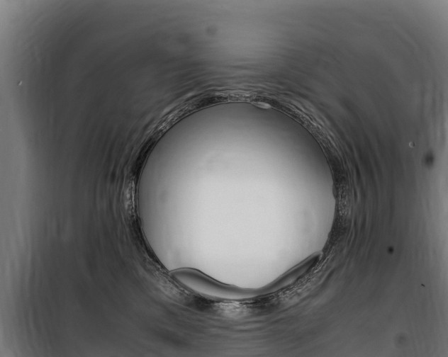 X0000100850425200806200806