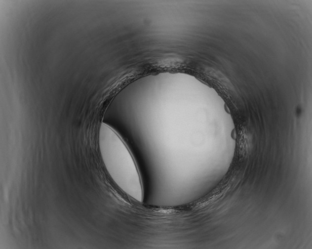 X0000100850428200806200806