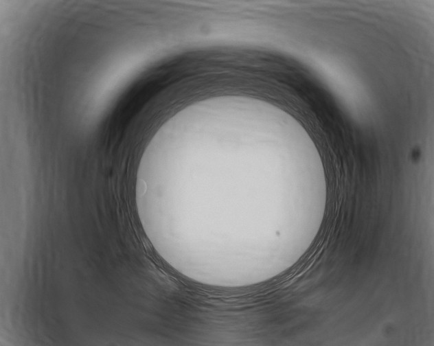 X0000100850431200806200806