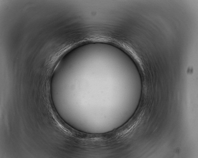 X0000100850433200806200806