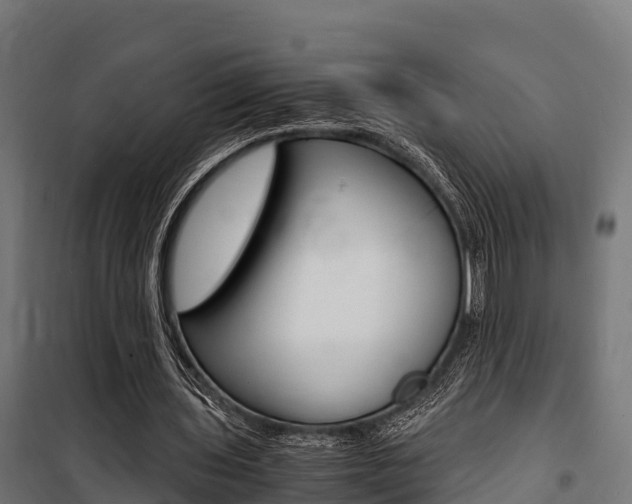 X0000100850435200806200806
