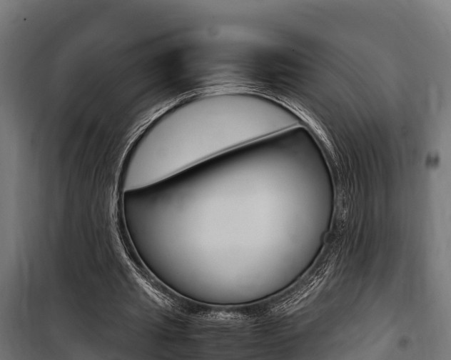 X0000100850437200806200806