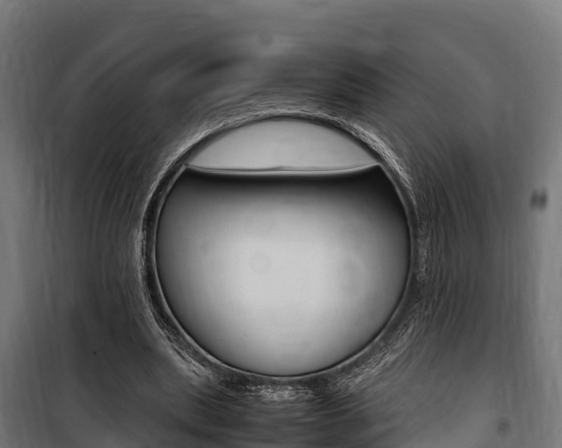 X0000100850439200806200806
