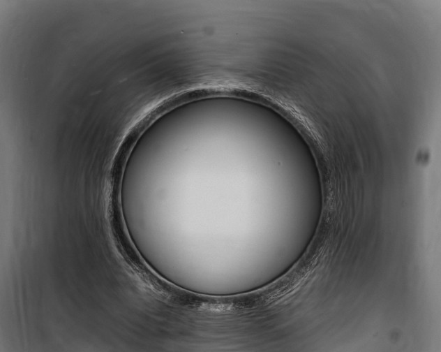 X0000100850440200806200806