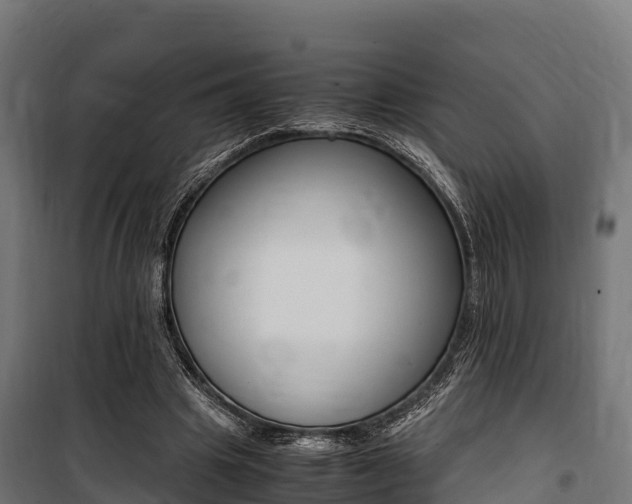 X0000100850441200806200806