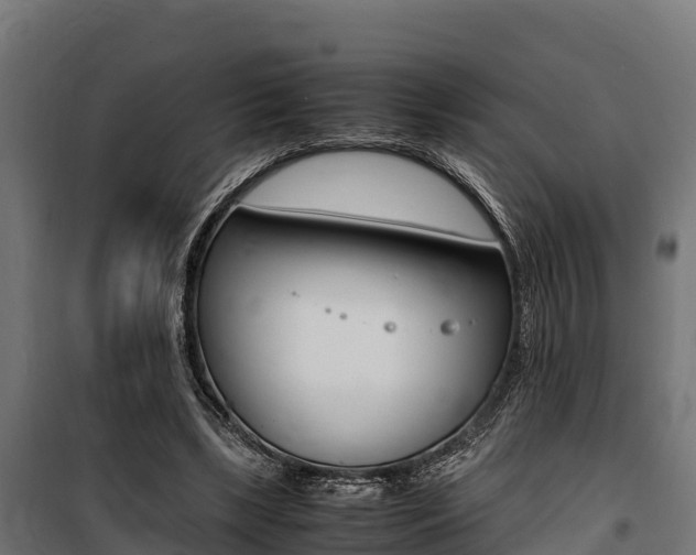 X0000100850443200806200806