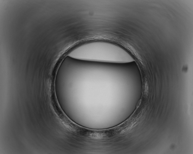 X0000100850444200806200806