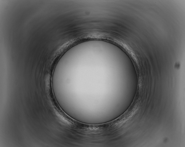 X0000100850445200806200806