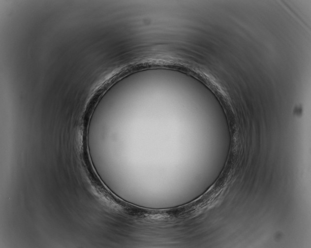 X0000100850446200806200806