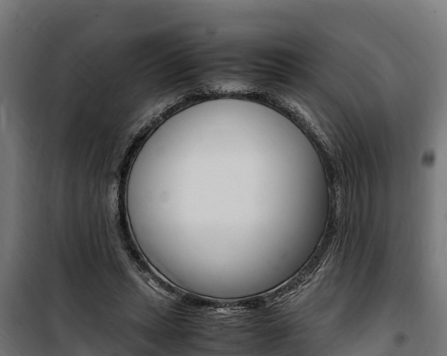 X0000100850447200806200806