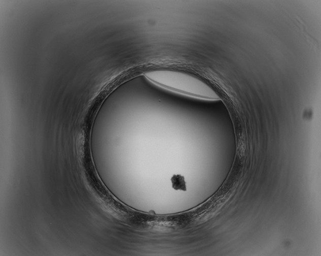 X0000100850448200806200806