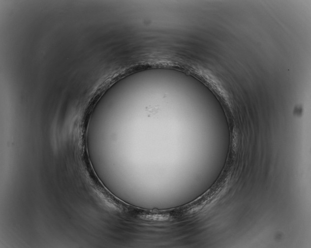 X0000100850449200806200806