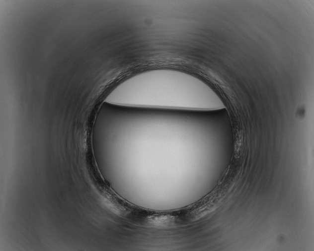 X0000100850452200806200806