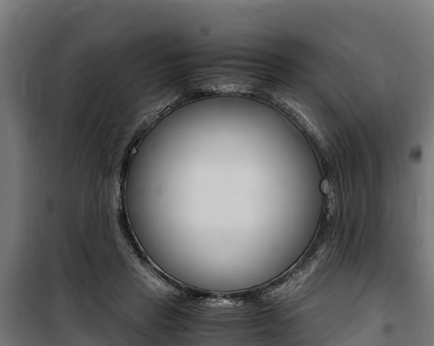 X0000100850453200806200806