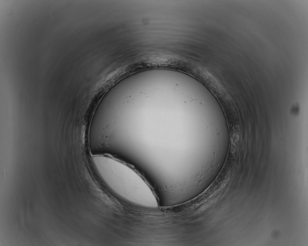 X0000100850454200806200806