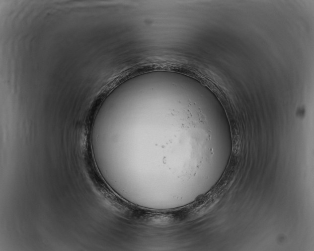 X0000100850456200806200806