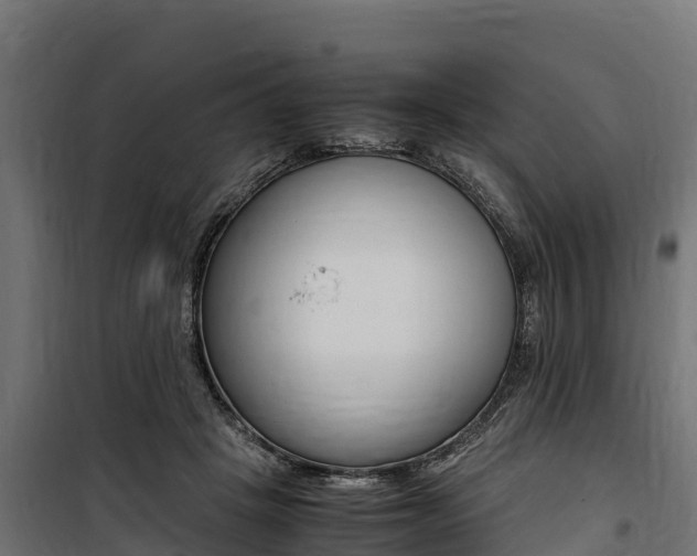 X0000100850457200806200806