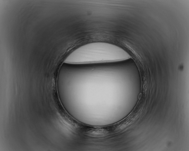 X0000100850459200806200806