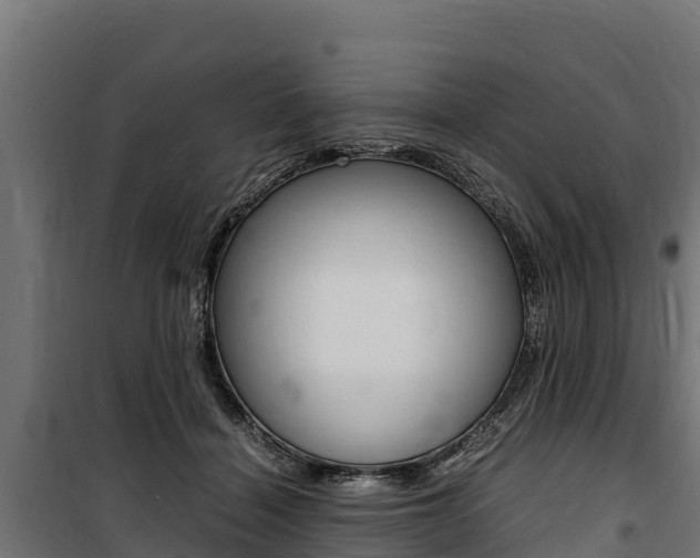 X0000100850460200806200806
